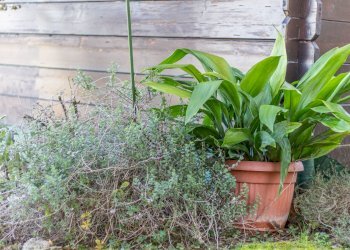 Foto 57 - Stabile - Palazzo Via Pio La Torre
 
23, Bentivoglio - foto 57