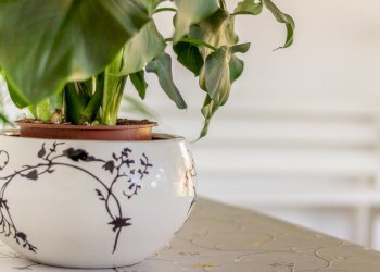 Foto 60 - Stabile - Palazzo Via Pio La Torre
 
23, Bentivoglio - foto 60