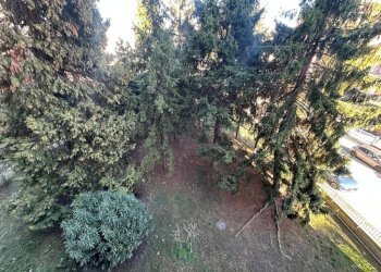 Vista - Four-room apartment via Carlo Collodi, Moncalieri - photo 31
