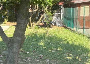 Giardino - Villa via Montefiorino, San Giovanni in Persiceto - foto 37