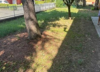 Giardino - Villa via Montefiorino, San Giovanni in Persiceto - foto 38