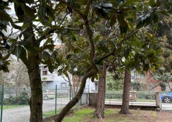 Giardino - Villa via Montefiorino, San Giovanni in Persiceto - foto 43