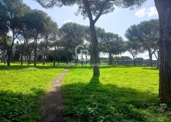 Foto 25 - Trilocale Via Caio Canuleio, Roma - foto 25