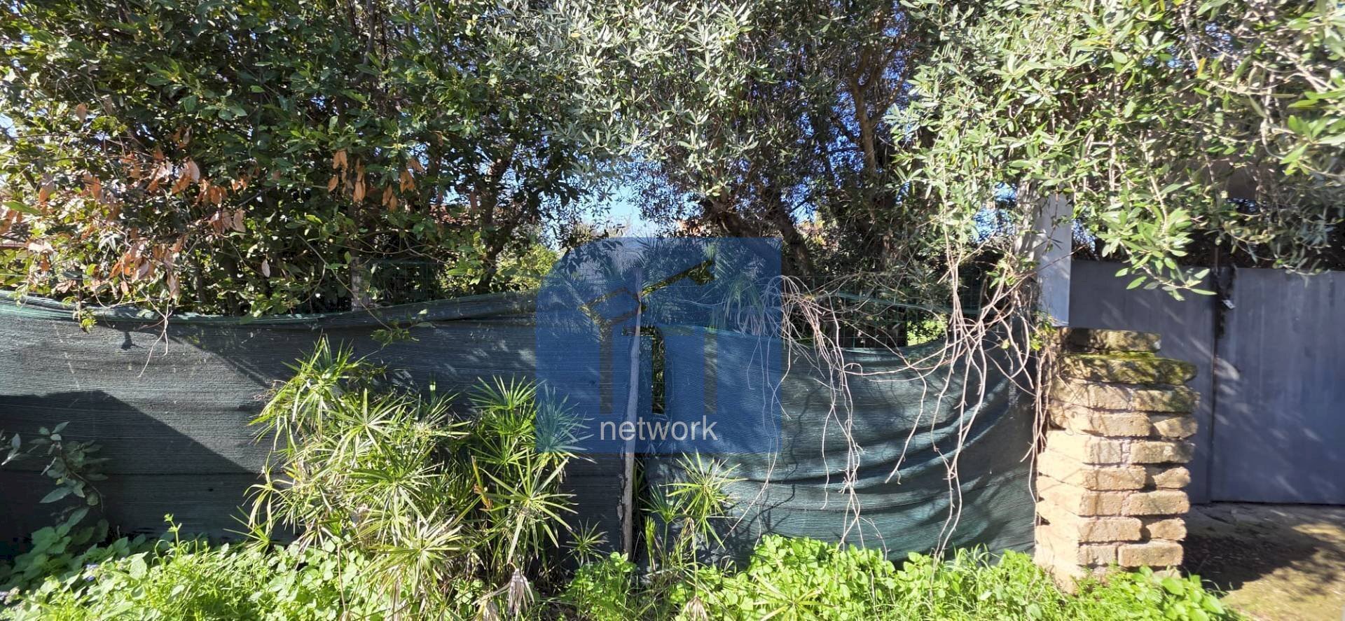 Foto 3 - Terreno edificabile Via Giuseppe Fiorelli, Roma - foto 3