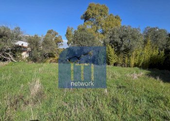 Foto 1 - Terreno edificabile Via Giuseppe Fiorelli, Roma - foto 1