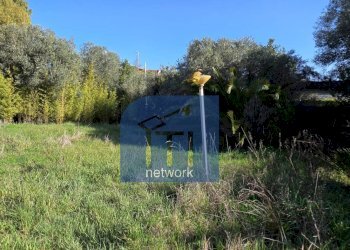 Foto 2 - Terreno edificabile Via Giuseppe Fiorelli, Roma - foto 2