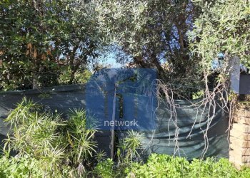 Foto 3 - Terreno edificabile Via Giuseppe Fiorelli, Roma - foto 3