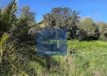 Foto 6 - Terreno edificabile Via Giuseppe Fiorelli, Roma - foto 6