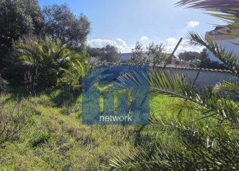 Foto 7 - Terreno edificabile Via Giuseppe Fiorelli, Roma - foto 7