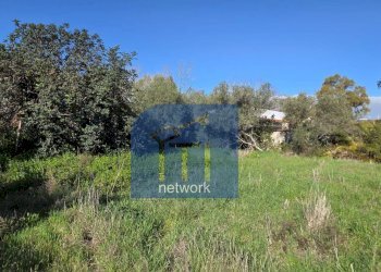 Foto 13 - Terreno edificabile Via Giuseppe Fiorelli, Roma - foto 13