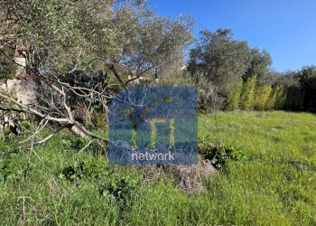 Foto 16 - Terreno edificabile Via Giuseppe Fiorelli, Roma - foto 16