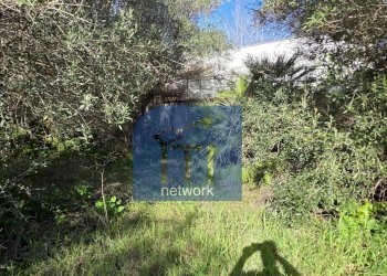 Foto 17 - Terreno edificabile Via Giuseppe Fiorelli, Roma - foto 17