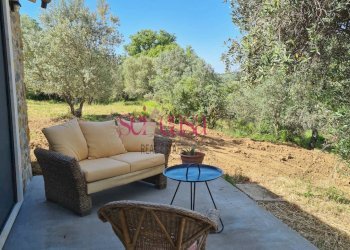 Foto 5 - Rustico Scansano - foto 5