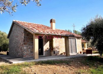 Foto 10 - Rustico Scansano - foto 10