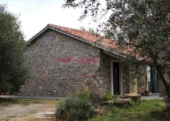 Foto 11 - Rustico Scansano - foto 11