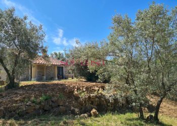 Foto 12 - Rustico Scansano - foto 12