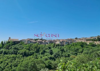 Foto 15 - Rustico Scansano - foto 15