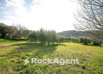 Terreno - Villa via del Laghetto, 26b, Civitella San Paolo - foto 20