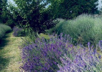 Villa via Gabbiana, 6, Castellucchio - foto 22