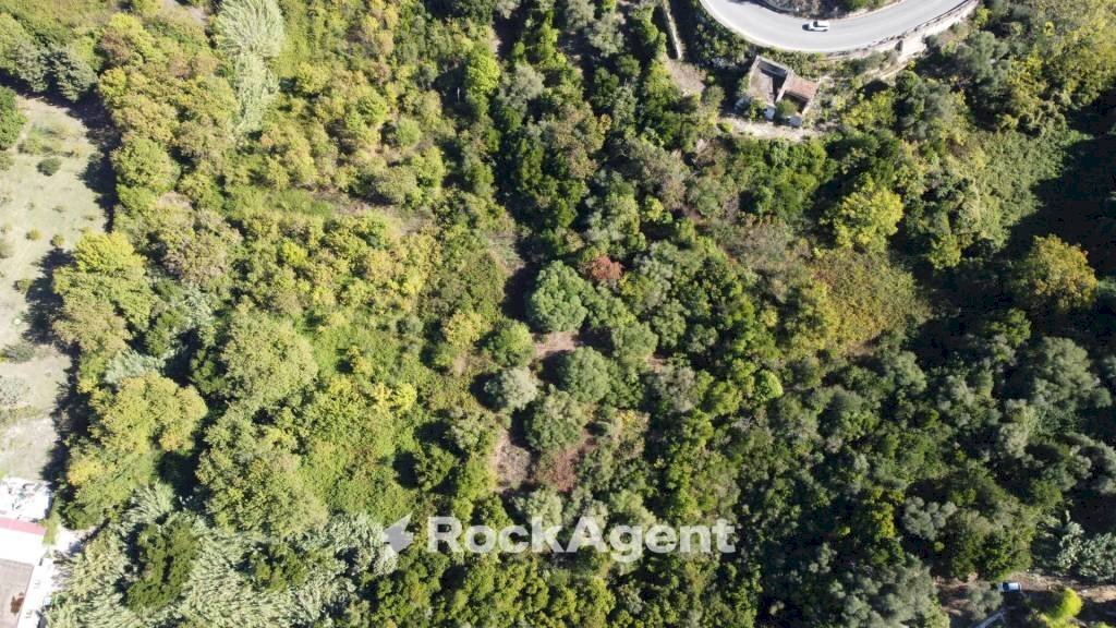 Terreno agricolo strada Vicinale Logulentu Badde Tolta, Sassari - foto 3