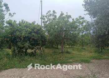 Terreno - Villa Bommiscuro SNC, Noto - foto 21