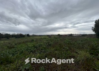 Terreno - Villa via del Tronco, Aprilia - foto 15