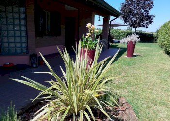 Villa Via Bassa, San Giorgio di Piano - foto 30