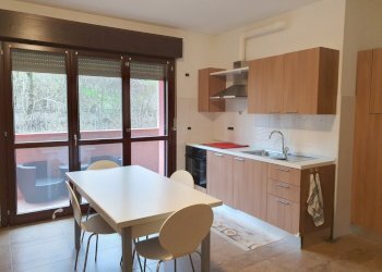 20260219_163854.jpg - Trilocale Via Don Milani, Medesano - foto 1