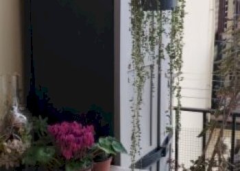 IMG_20260220_174001832.jpg - Quadrilocale Piazza Bernardo Tanucci, Firenze (zona Santa Maria Novella) - foto 3