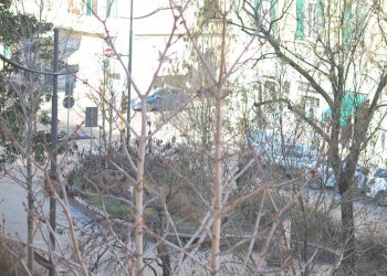 DSC_1726.JPG - Quadrilocale Piazza Bernardo Tanucci, Firenze (zona Santa Maria Novella) - foto 23