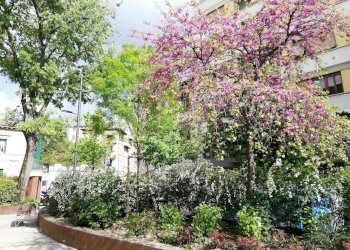 IMG_20210419_160642.jpg - Quadrilocale Piazza Bernardo Tanucci, Firenze (zona Santa Maria Novella) - foto 25