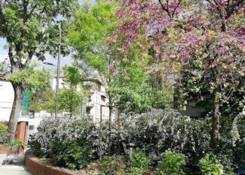 PIAZZA TANUCCI.jpg - Quadrilocale Piazza Bernardo Tanucci, Firenze (zona Santa Maria Novella) - foto 26