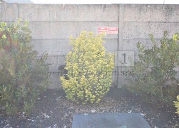 dettagli - Commercial Premises Via Meucci, Rubano - photo 7