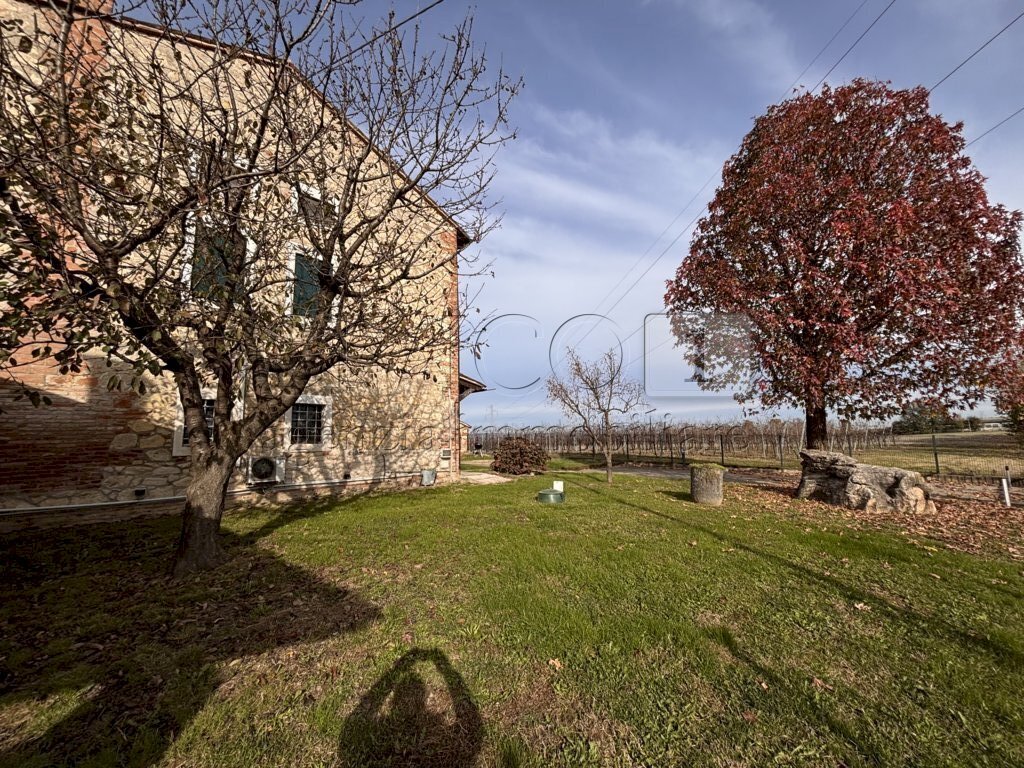 IMG_9753 (FILEminimizer).jpg - Rustico Via Ghizzole 14, Montegalda - foto 3