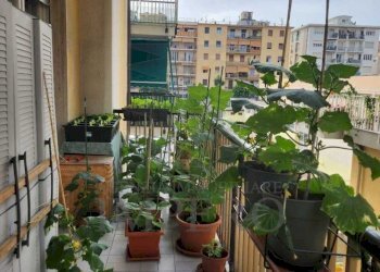 1.jpeg - Trilocale Passeggiata Cavallotti 3, Ventimiglia - foto 21