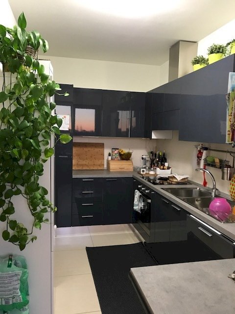 IMG_5760.JPG - Quadrilocale Pisa - foto 1