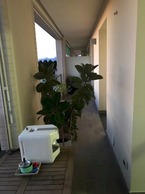 IMG_5771.JPG - Quadrilocale Pisa - foto 3