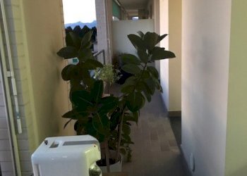 IMG_5771.JPG - Quadrilocale Pisa - foto 3