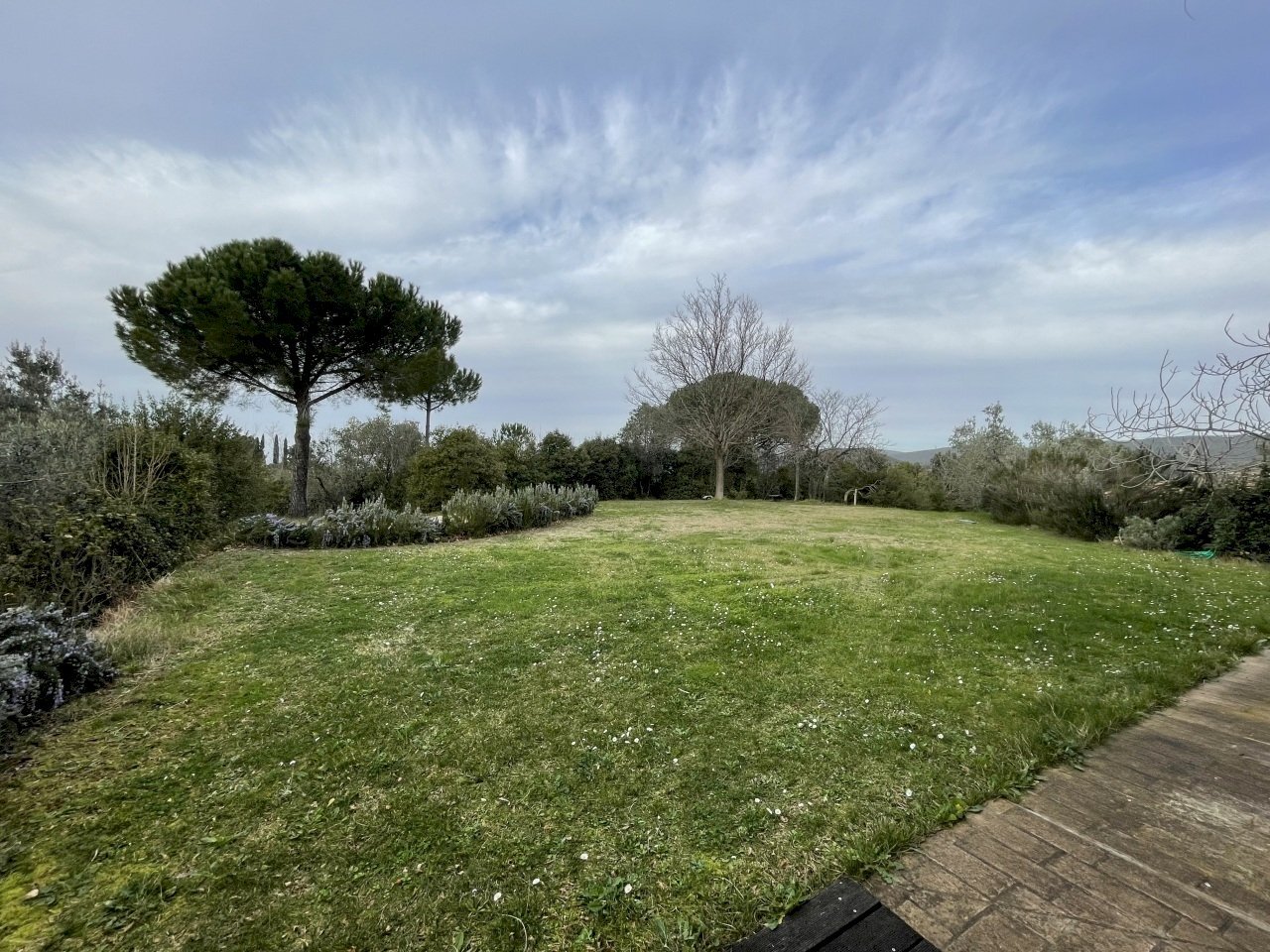 IMG_6553.jpeg - Rustic Via della Sassetta, Castagneto Carducci - photo 2