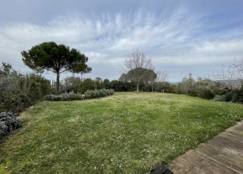 IMG_6553.jpeg - Rustico Via della Sassetta, Castagneto Carducci - foto 2