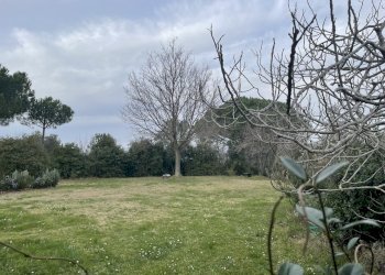 IMG_6559.jpeg - Rustico Via della Sassetta, Castagneto Carducci - foto 5