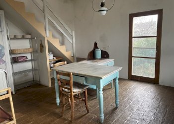 IMG_6552.jpeg - Rustico Via della Sassetta, Castagneto Carducci - foto 13