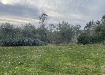 IMG_6562.jpeg - Rustico Via della Sassetta, Castagneto Carducci - foto 28