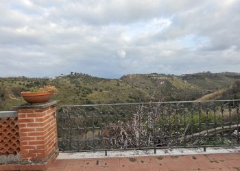 20260223_163144.jpg - Trilocale Via Mossa dei Barberi 29, Morlupo - foto 14