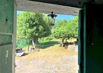 giardino - Rustico Via della Casciaia, Vaiano - foto 1