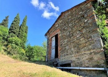 giardino - Rustico Via della Casciaia, Vaiano - foto 5