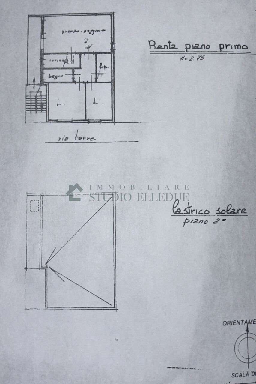 d3909a77-d8cf-4df4-9ec6-c0c682db4ef6.jpg - Villa Via Torre 17, Sannicandro di Bari - planimetria 1
