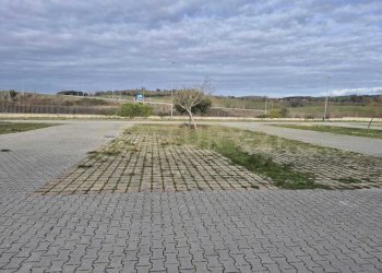 foto piazzale 2.jpeg - Locale Commerciale Cerro Sughero, Campagnatico - foto 20