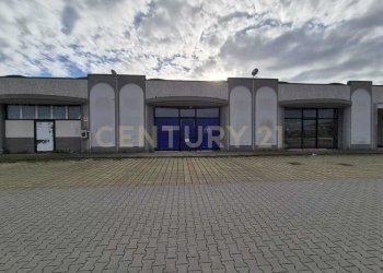 PORTA INGRESSO 2.jpeg - Locale Commerciale Cerro Sughero, Campagnatico - foto 24