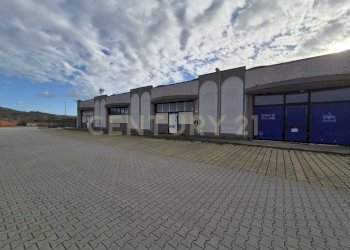 PORTA INGRESSO 3.jpeg - Locale Commerciale Cerro Sughero, Campagnatico - foto 25